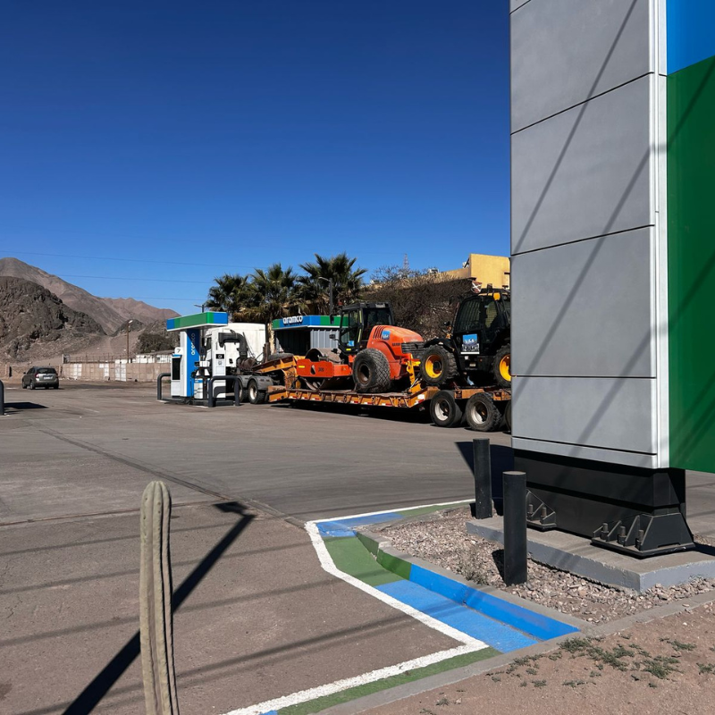 Sin título (800 x 800 px)